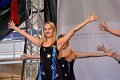 Dt_Einheit_2014   188